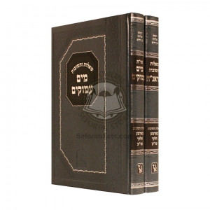 Shut Haranach - Shut Mayim Amukim    /    שו"ת הראנ"ח - שו"ת מים עמוקים