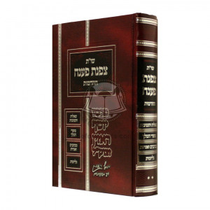 Shut Tzafnas Paneach Hachadoshos - Volume 2    /    שו"ת צפנת פענח החדשות - כרך ב