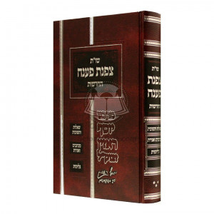 Shut Tzafnas Paneach Hachadoshos Volume 3     /    שו"ת צפנת פענח החדשות ג