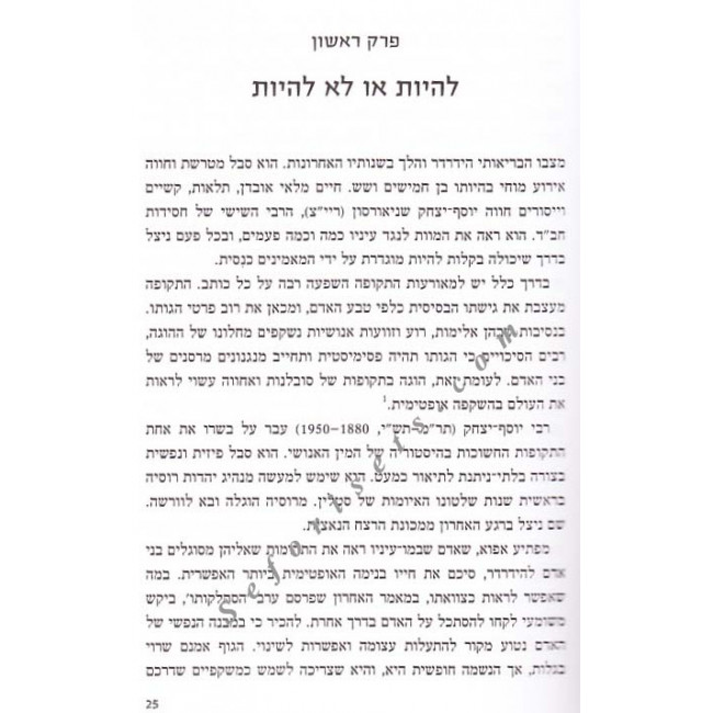 Sodo Shel Harebi          /       סודו של הרבי