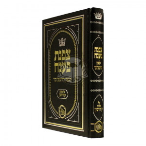 Tzafnas Paneach - Masechet Kidushin        /      צפנת פענח מסכת קידושין