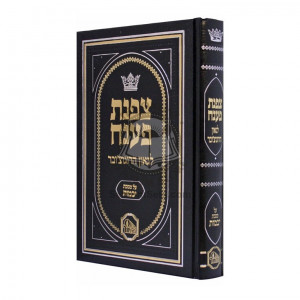 Tzafnas Paneach - Yevamos     /     צפנת פענח - יבמות