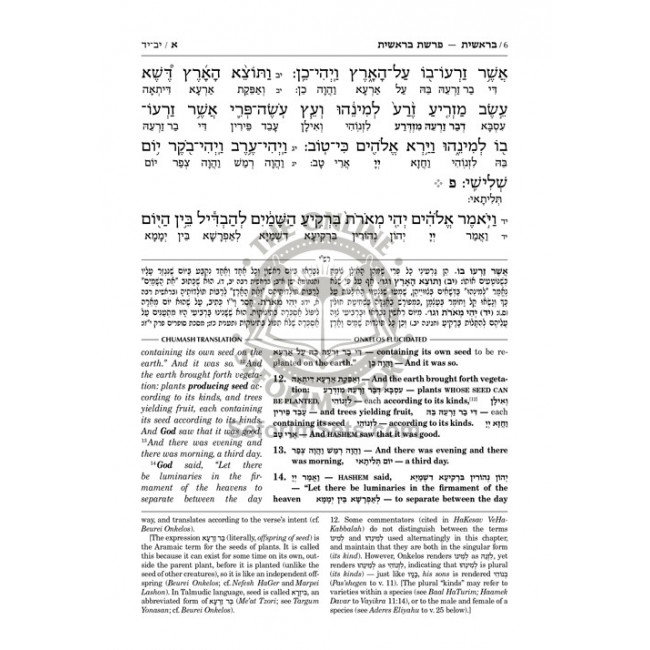 Zichron Meir Edition of Targum Onkelos - Vayikra Zichron Meir Edition of Targum Onkelos - Vayikra