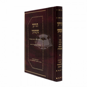 Toroscho Sha'ashuoi / תורתך שעשעי