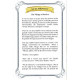 Two Yaakovs and Other Chabad Stories / By Fradie Brod