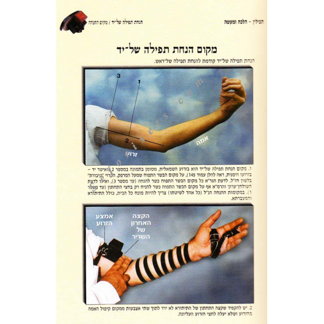 Tefillin Halacha U'maaseh - Hanochs Ha'Tefillin   / תפילין הלכה ומעשה - הנחת תפילין
