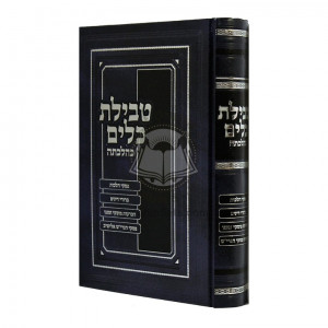 Tevilas Keilim K'Hilchosa  /  טבילת כלים כהלכתה