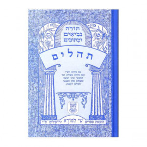 Nach Metzudah Tehillim      /   נ"ך מצודה תהלים