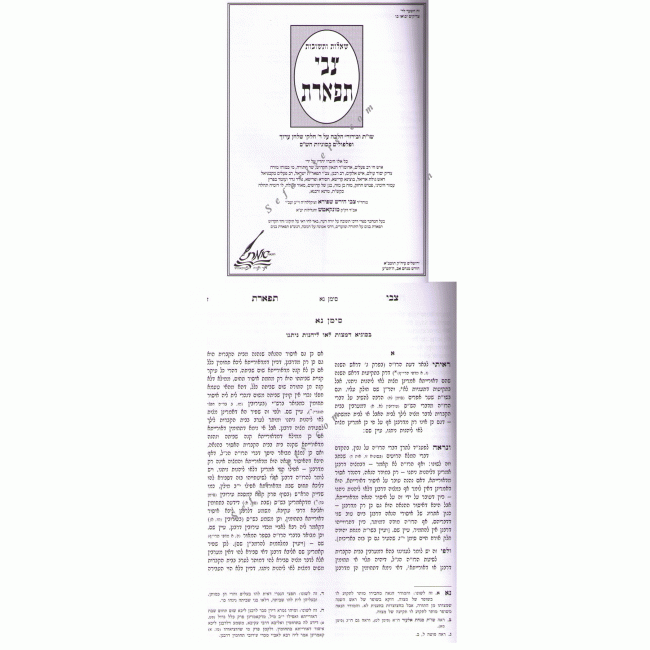 Shut Tzvi Tiferes / שו
