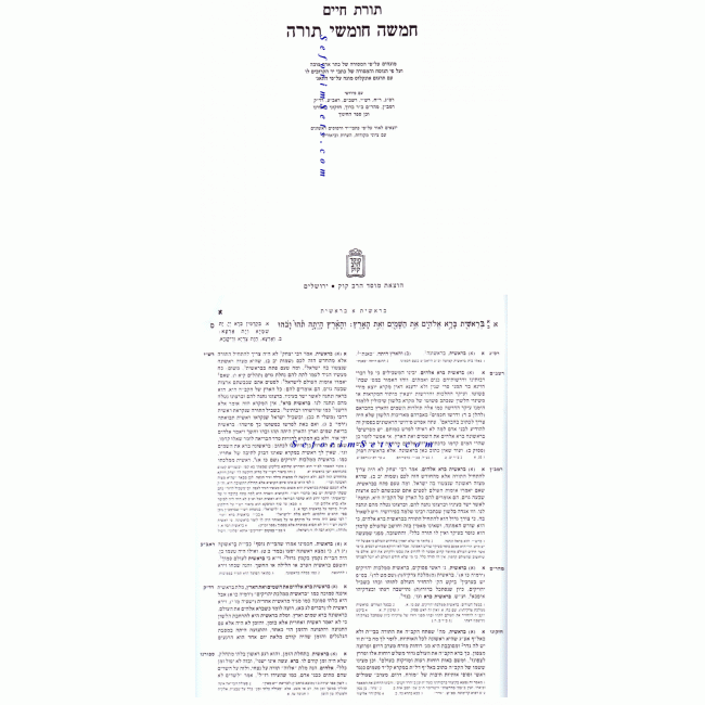 Chumash Toras Chaim     /   חומש תורת חיים