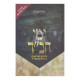 Yemei Chabad        /        ימי חב"ד - חדש
