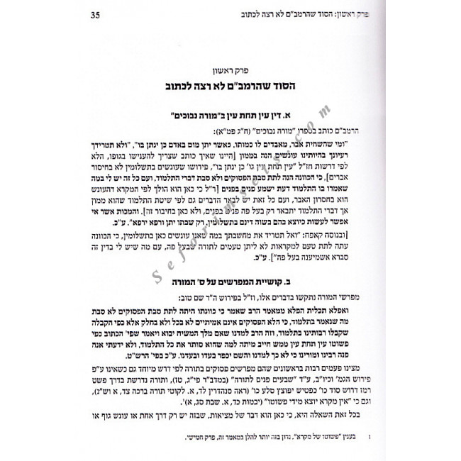 The Rambam's True Identity       /     עין תחת עין