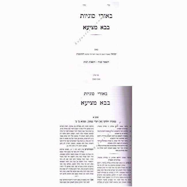 Biurei Sugyos Bava Metzia   /  ביאורי סוגיות בבא מציעא