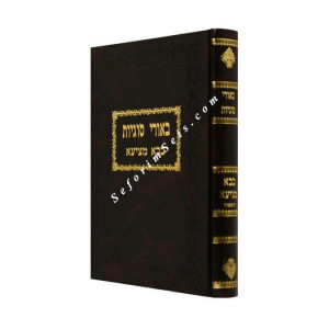 Biurei Sugyos Bava Metzia   /  ביאורי סוגיות בבא מציעא
