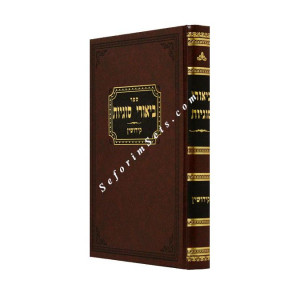 Biurei Sugyos - Kiddushin / ביאורי סוגיות - קידושין