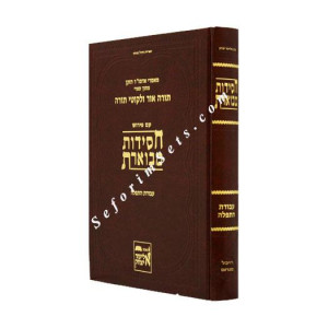 CHASIDDUS MEVUERES - AVODAS HATEFFILAH      /    חסידות מבוארת - תפילה