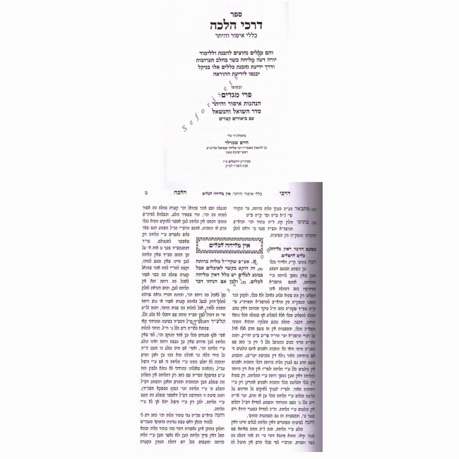 DARKEI HALACHA - KLALEI ISSUR V'HETER