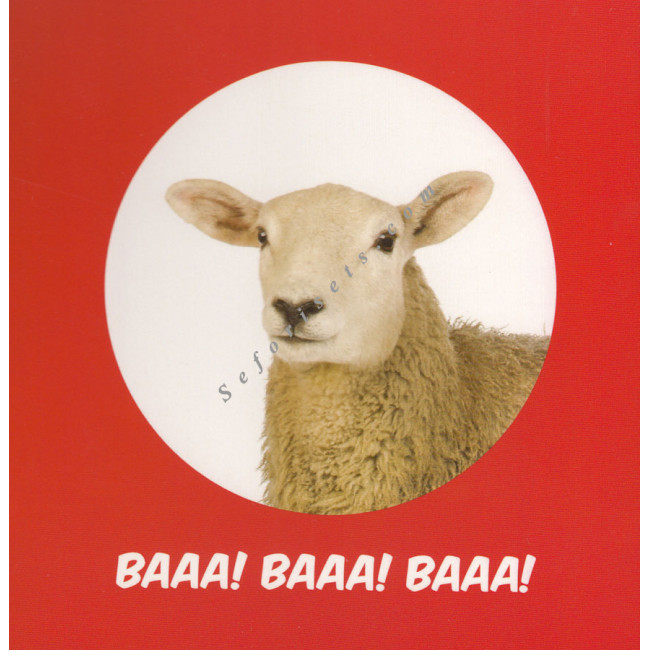 My First Book of Kosher Animals  