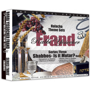 Shabbos: Is it Mutar Volume II