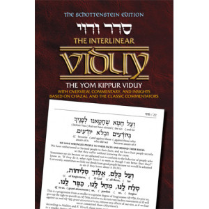 Interlinear Viduy / Confession