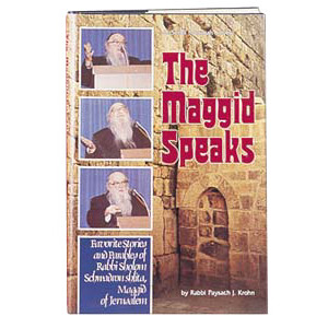 The Maggid Speaks