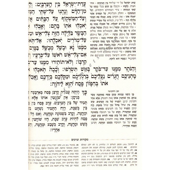Mesivta Haggadah Shel Pesach   /  מתיבתא הגדה של פסח הגדה מבוארת
