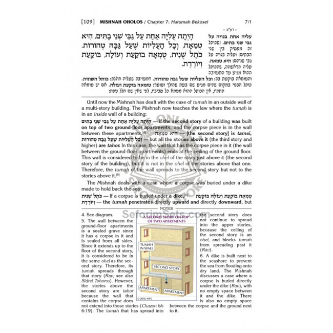Schottenstein Edition Mishnah Elucidated Tohoros Vol. 3 / Full color volume - Tractate: Oholos Schottenstein Edition Mishnah Elucidated Tohoros Vol. 3 / Full color volume - Tractate: Oholos