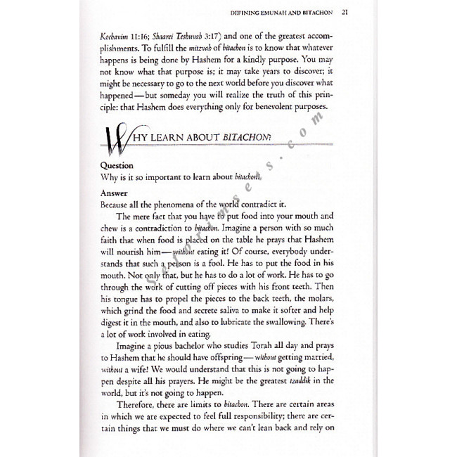 Rav Avigdor Miller On Emunah and Bitachon