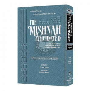 Schottenstein Edition Mishnah Elucidated Tohoros Vol. 4       /       Tractates: Negaim 