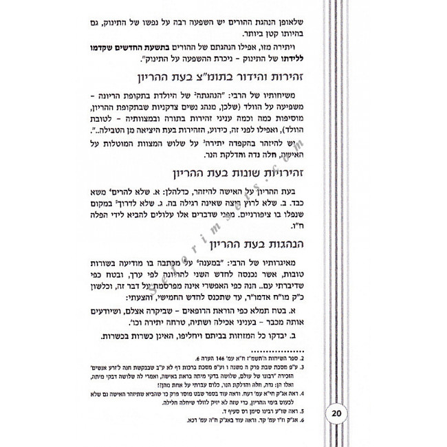 Shemiras HaSemachos        /      שמירת השמחות