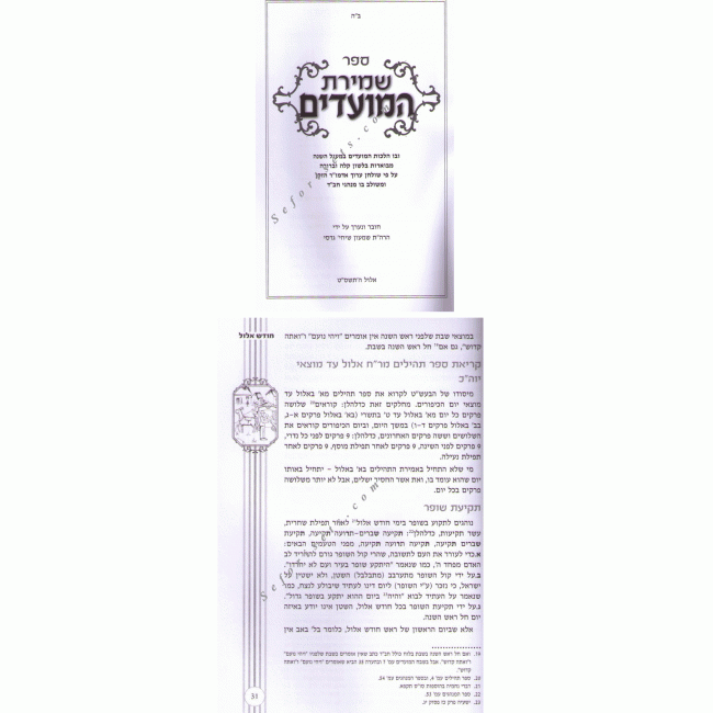Shemiras HaMoadim     /    שמירת המועדים