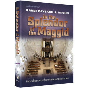 In the Splendor of the Maggid 