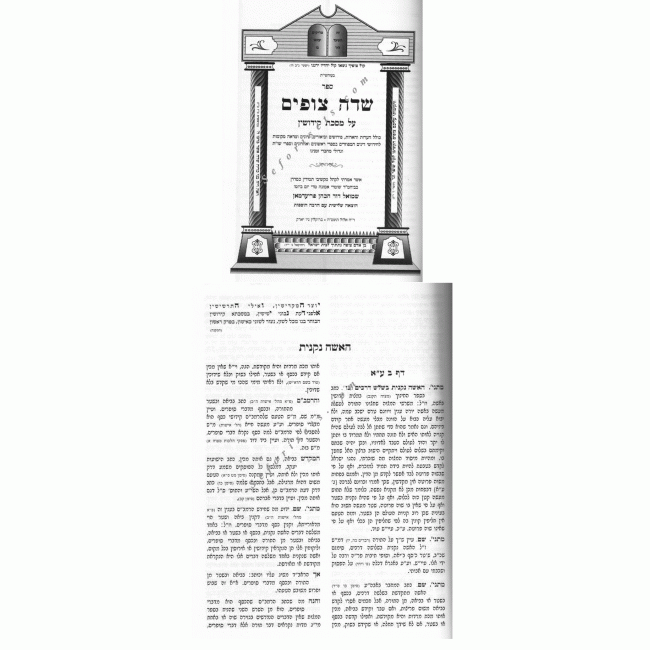 Sedai Tzofim - Kiddushin  /  שדה צופים - קידושין