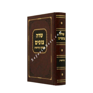 Sedai Tzofim - Kiddushin  /  שדה צופים - קידושין