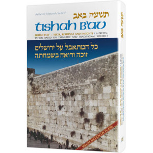 Tishah B'av: Texts, Readings, And Insights