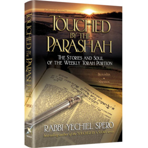 Touched by the Parashah 