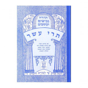 Nach Metzudah Trei Asar         /      נ"ך מצודה תרי עשר