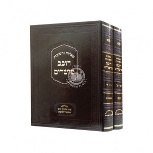 Shut Dovev Mesharim  /  שו"ת דובב מישרים ב' כרכים 