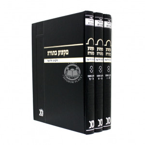 Miktzuah Batorah Hilchos Halvaah  / מקצוע בתורה הלכות הלוואה ג"כ