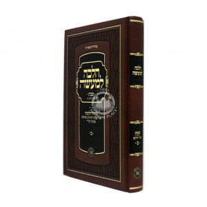 Halacha Lemaaseh Shabbos Volume 2 / הלכה למעשה שבת ב
