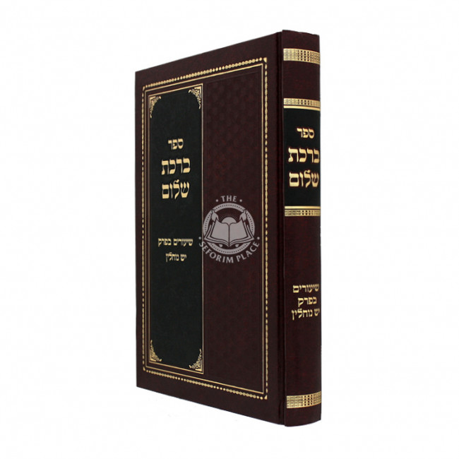 Birchas Sholom / ברכת שלום שיעורים בפרק יש נוחלין Birchas Sholom / ברכת שלום שיעורים בפרק יש נוחלין