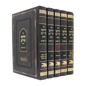 Chidushei HaRim  Al HaShas      /        חידושי הרי"ם על הש"ס