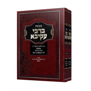 Maseh B'Rabbi Akiva Torah / Moadim / מעשה ברבי עקיבא - תורה ומועדים - ב' כרכים