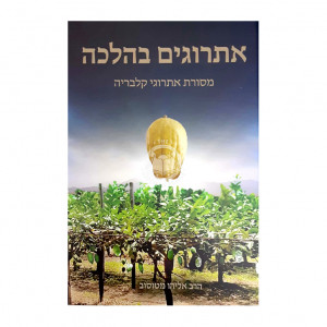 Esrogim BeHalacha / אתרוגים בהלכה מסורת אתרוגי קלבריה
