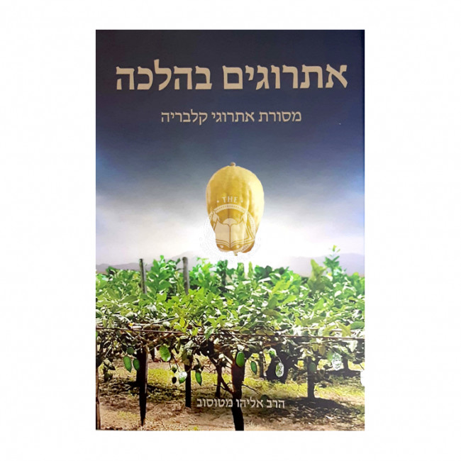 Esrogim BeHalacha / אתרוגים בהלכה מסורת אתרוגי קלבריה
