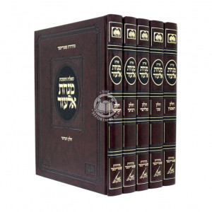 Shut Minchas Elazar   /   שו"ת מנחת אלעזר ה כרכים