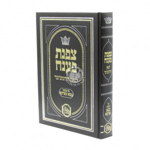 Tzafnas Paneach - Masechet Bava Metzia / צפנת פענח על מסכת בבא מציעא