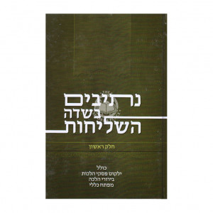 Nesivim Bisdei Hashlichus Vol 1   /   נתיבים בשדה השליחות ח"א