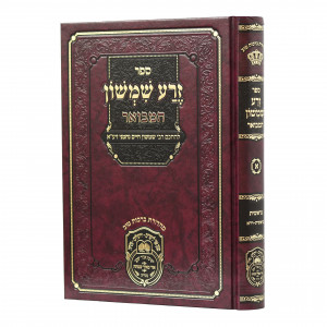 Zera Shimshon Hamevuer - Beraishis 1 / זרע שמשון המבואר - בראשית חלק א