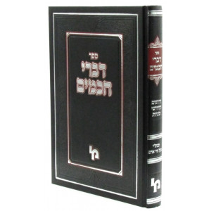Divrei Chachomim  /  דברי חכמים דרושים וחידושי סוגיות